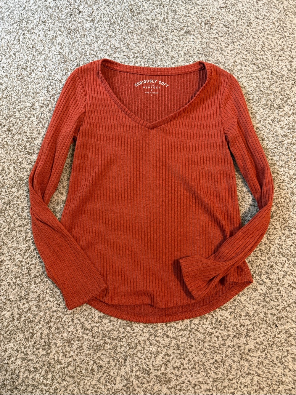 Seriously Soft Ribbed V-Neck Long Sleeve Top - Rust